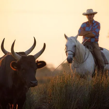 La Bergerie * كاستيون-دو-غارد