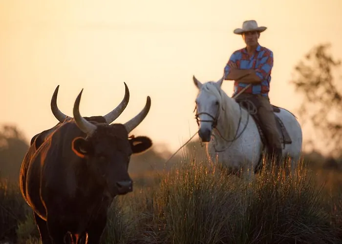 La Bergerie * كاستيون-دو-غارد